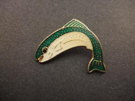 Vis ( hengelsport) Forel groen-wit